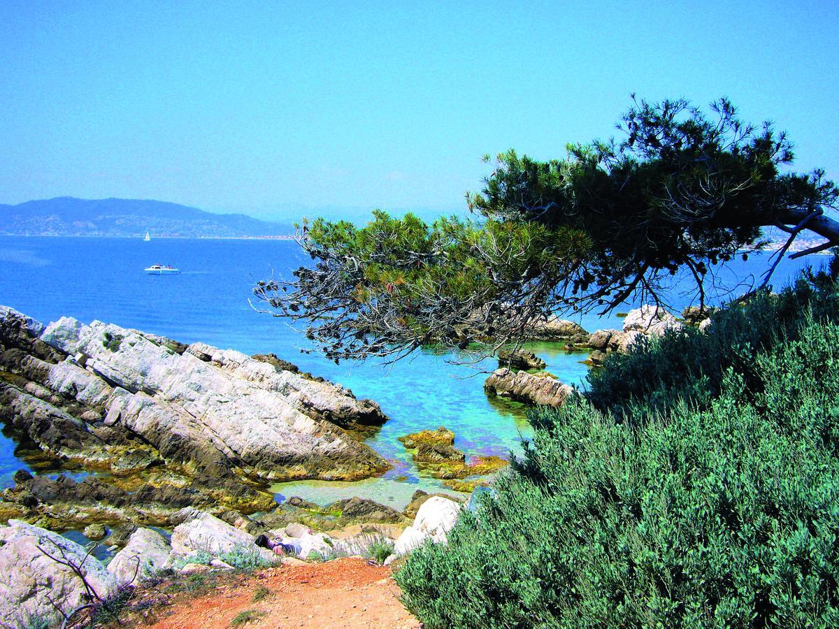 Les Rivages - Appartement Vue Mer Imprenable-Piscine Six-Fours-les-Plages Luaran gambar